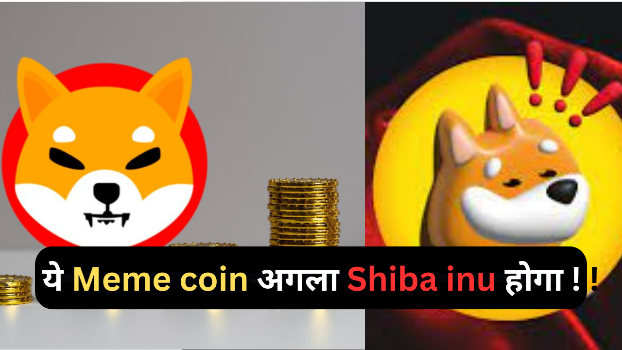 bonk meme coin