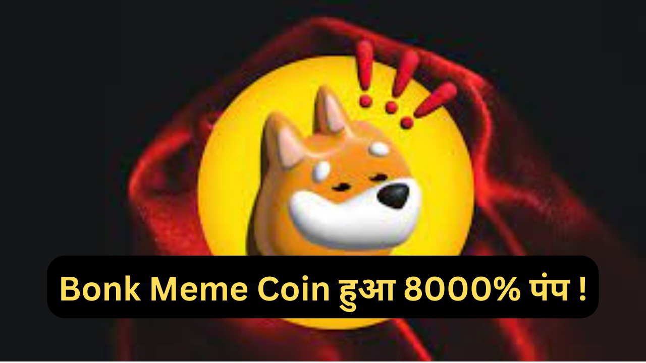 bonk meme coin