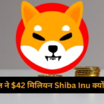 shiba inu latest news